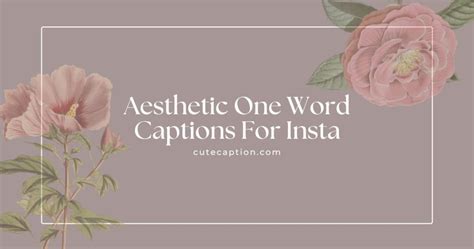 290 aesthetic one word instagram captions a to z words cute caption