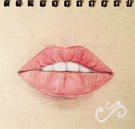 Woman Lips Drawings Lipstutorial Org