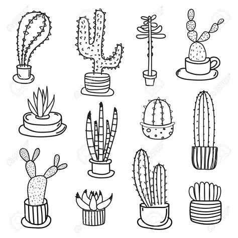 Cactus Outline Clipart 20 Free Cliparts Download Images On Clipground