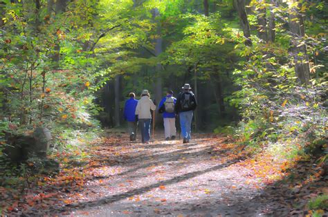 Top Scenic Hiking Trails In Wears Valley Tennessee
