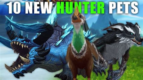 Top 10 New Hunter Pets Tamable In Dragonflight Youtube