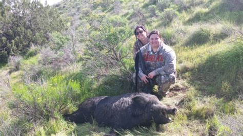 European Boar Hunts Russian Boar Hunts