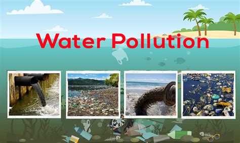 What Is Water Pollution Concern Causes And Effects Netsol Water