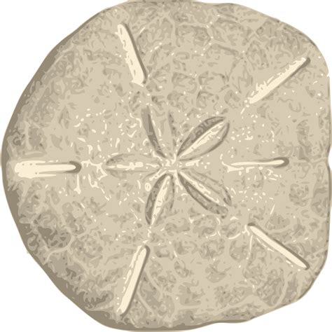 Clipart Sand Dollar