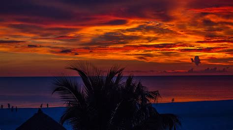 2048x1152 Sunset Palm Trees Ocean Beautiful View 4k 2048x1152