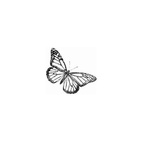 In aesthetic coloring pages we come up with some new types of pictures. Butterfly Drawings - From the Beauty of Nature found on Polyvore | Dainty tattoos, Cute tattoos ...