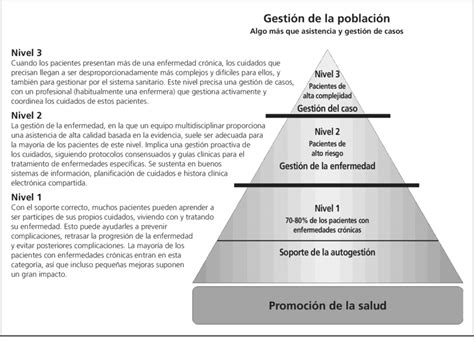 Categorización de pacientes crónicos Pirámide de riesgo de Kaiser Download Scientific Diagram