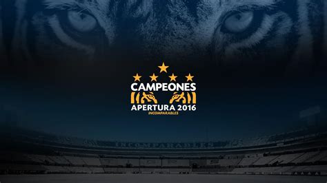 In the application space jam 2021 wallpaper, only wallpapers and backgrounds suitable for the size of your screen will be displayed for you. Tigres UANL Wallpapers - Wallpaper Cave