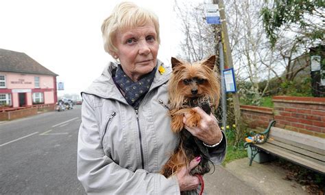 Barking Mad Pensioner Forced Off Bus After Refusing To Pay 70p Fare For Her Yorkshire Terrier