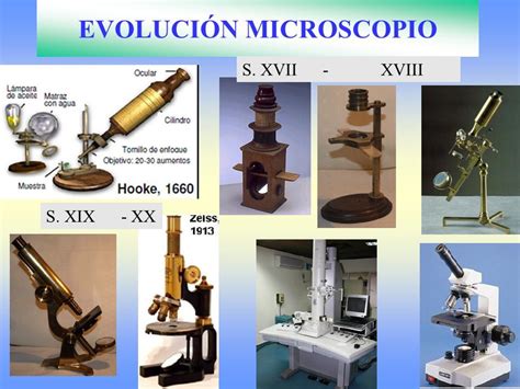 Linea De Tiempo De Microscopio Arbol