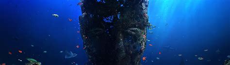 Underwater Face • Images • WallpaperFusion by Binary Fortress Software