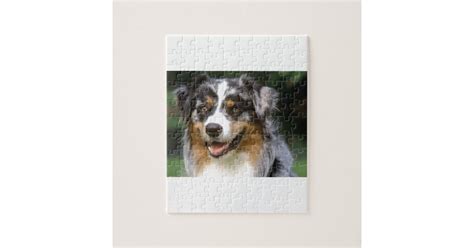 Australian Shepherd Dog Jigsaw Puzzle Zazzle