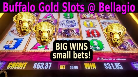 Buffalo Gold Slot Machine Wins And Bonuses Youtube