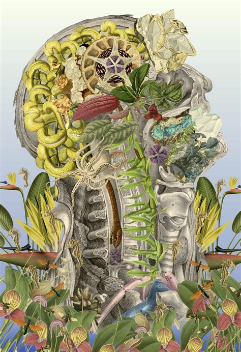 Internal Eternal Anatomical Collage Art By Bedelgeuse Arte De