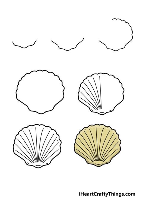Shell Drawing How To Draw A Shell Step By Step