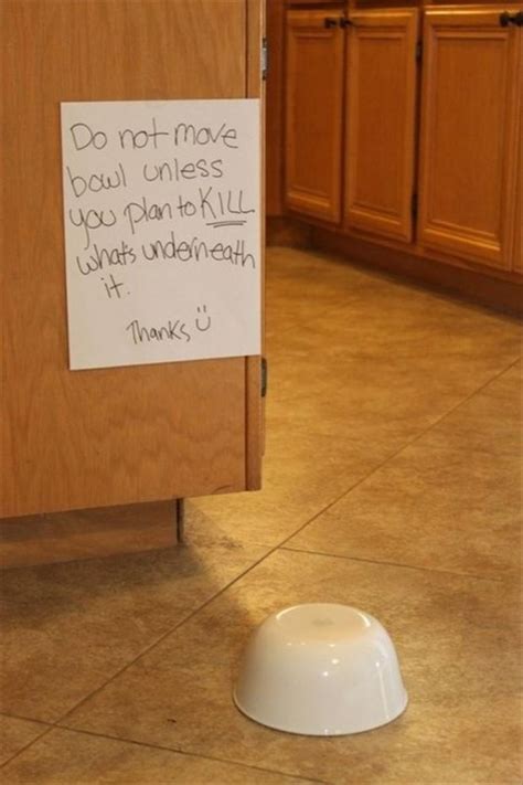 So how can you tell someone is about to burgle or case your house without leaving you wrangling some burglars would do surveillance around the neighborhood by pretending to be a salesman of a besides, you may set up an outdoor security camera to catch burglars in the act and reinforce all the. The Best Way to Catch Spiders in Your House - Coldwell ...