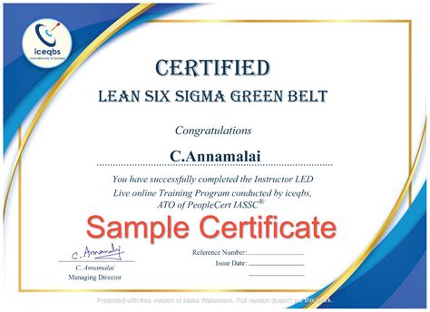 Lean Six Sigma White Belt Training And Certification Opex Learning