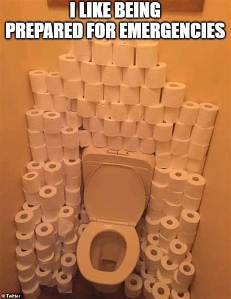 Pompeji Vontatás Egyik Sem Funny Toilet Paper Memes Gyakorolta