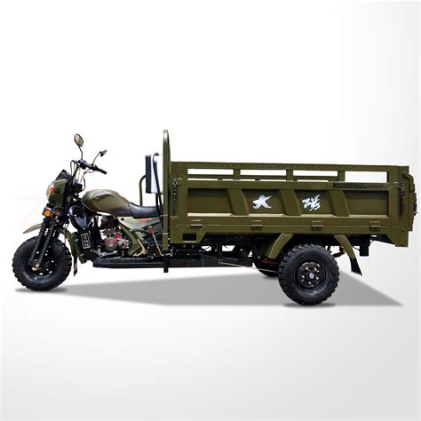 Luxury Carriage Motorized Cargo Tricycle Automatic 3 Wheel Motorcycle