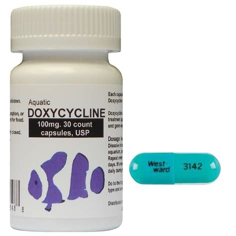 Doxycycline 100 Mg