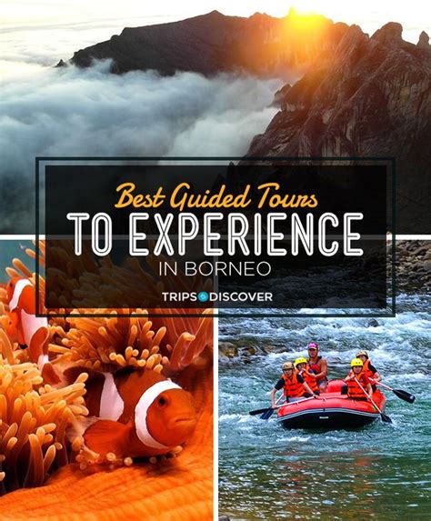 The 9 Best Guided Tours To Experience In Borneo Trips To Discover