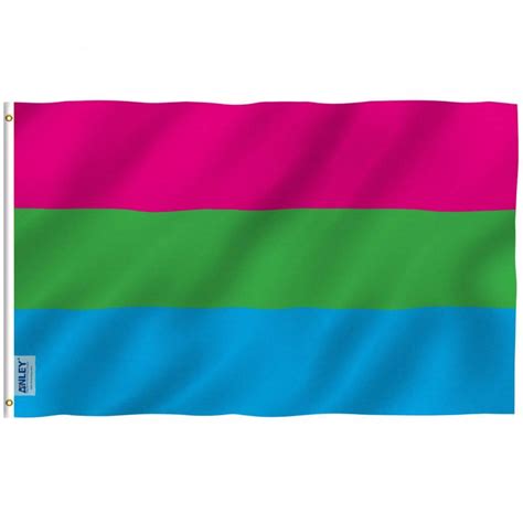 Fly Breeze Aromantic Pride Flag 3x5 Foot Anley Flags