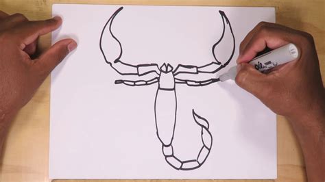 How To Draw A Scorpion Step By Step Scorpion Drawing Draw Drawings