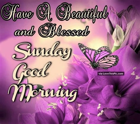 Have A Beautiful And Blessed Sunday Good Morning Pictures