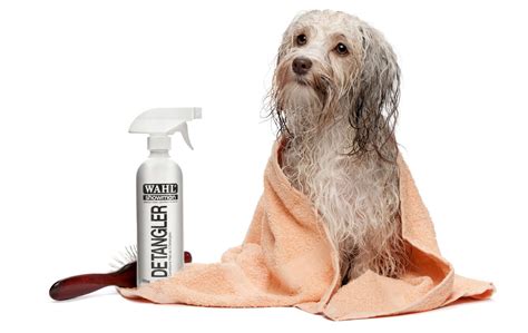 7 Dog Grooming Products Every Pet Owner Needs Wahl Uk