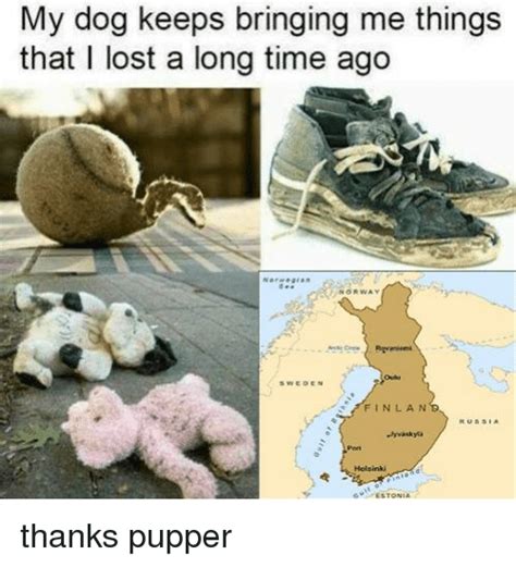 Search Pupper Dog Memes On Meme