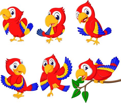 The Collection Of Beautiful Red Parrots With The Different Posing