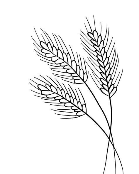 How To Draw A Wheat Field At How To Draw