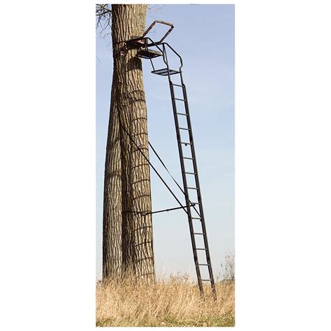 Big Game The Skybox 20 Deluxe Ladder Tree Stand 627414 Ladder Tree