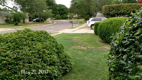 When it comes to pest control, lawn maintenance and home services, every month is different. Lawn Services in Cedar Park | Lawn Doctor of Cedar Park ...