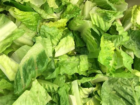 E Coli Outbreak Linked To Romaine Lettuce Sickens 18 More People In 5