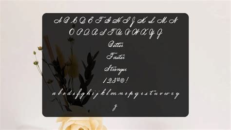 Spencerian Script Font Free Download