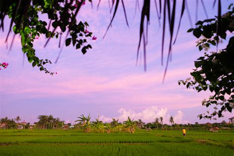The Ultimate Canggu Travel Guide • The Blonde Abroad