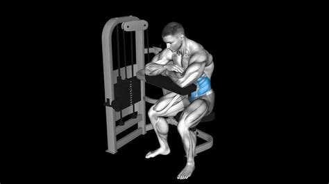 Kneeling Cable Crunch How To Video Alternatives More