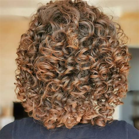 Top 7 Curly Brown Hair With Blonde Highlights 2022