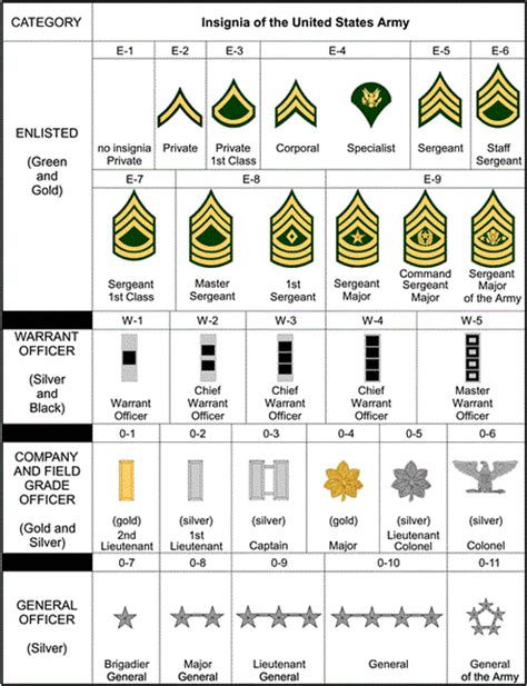 Army Ranks Chain Of Command