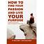 How To Find Your Passion And Live Purpose FREE EBook  Vincent
