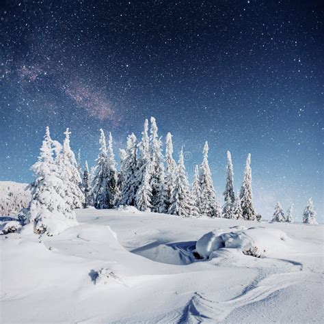 Starry Sky In Winter Snowy Night Fantastic Milky Way Stock Image