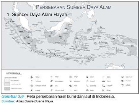 Peta Persebaran Hasil Perkebunan Di Indonesia