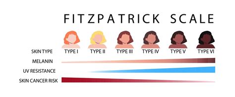 Fitzpatrick Scale Skin Types Infographic Vector Illustration 22511091 Vector Art At Vecteezy