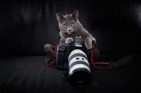 25 Priceless Moments Between Animals And Photographers Page 7