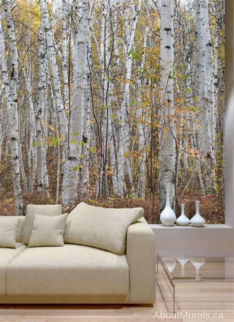 Infinite Birch Forest Wall Mural Removable Wallpaper Aboutmuralsca