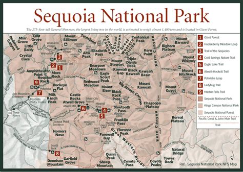 Sequoia National Park Map Where In The World Would You Ever Find A