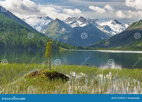 Beautiful Summer Landscape Altai Mountains Russia Stock Photo Image