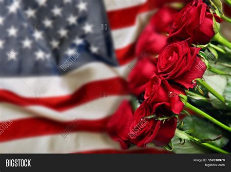 Roses On Usa Flag Image And Photo Free Trial Bigstock