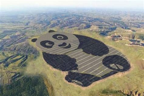 Planta Solar Amb Forma Dós Panda Inaugurada A La Xina Factorenergia